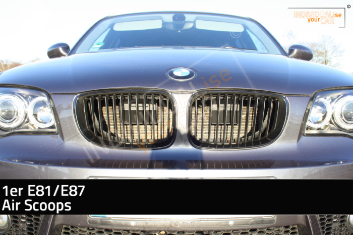 1 Series E81 E87 Air Scoops Black
